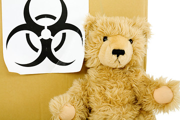 Image showing Toy bear