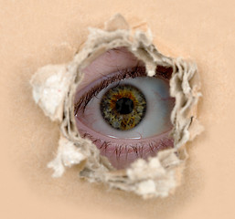 Image showing Eye look out from hole
