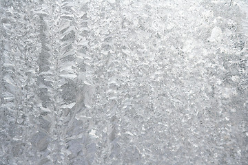 Image showing Winter glass