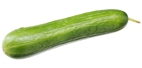 Image showing A green fresh cucumber with a sticking out sprig