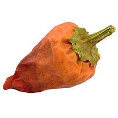 Image showing Red pepper on a white
