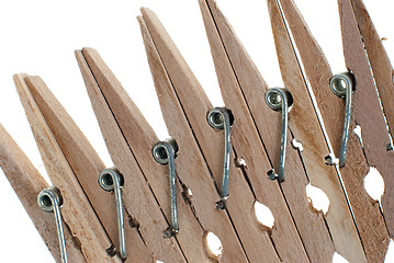 Image showing Wooden clothes pegs