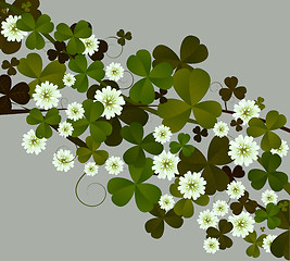 Image showing Clover