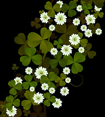 Image showing Clover background