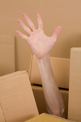 Image showing Hand in pile box