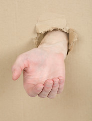 Image showing Male hand through in cardboard