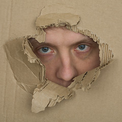Image showing Male face look up from hole in carton