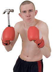 Image showing Boxer and hammer