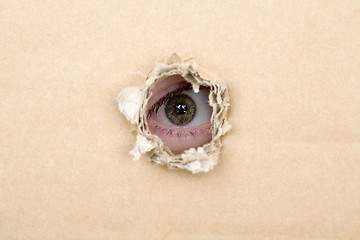 Image showing Eye