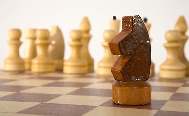 Image showing Chess knight