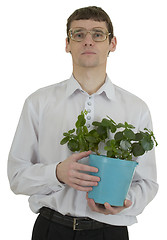 Image showing Man in spectacles with window plant