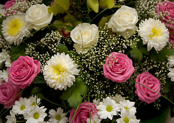 Image showing Chrysanthemums, asters and roses