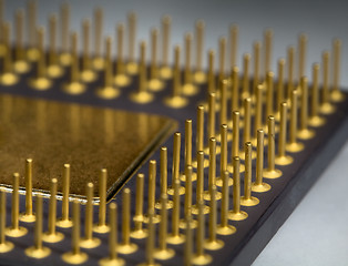 Image showing Gilt legs of the processor