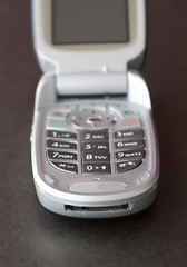 Image showing cellular