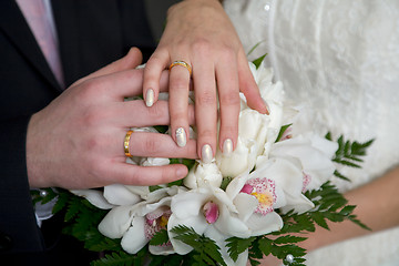 Image showing Hands with wedding rings