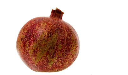 Image showing Pomegranate