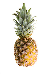 Image showing Pineapple