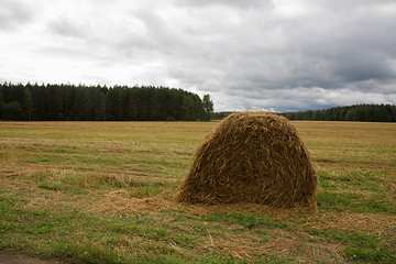 Image showing Haystack