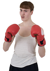 Image showing The thin boxer in gloves 