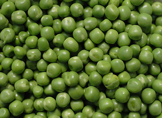 Image showing green pea