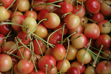 Image showing fresh cherries