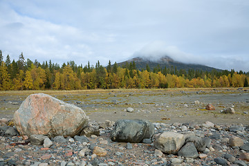 Image showing Stone field