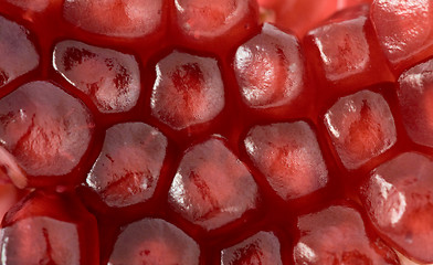 Image showing Red grains of pomegranate background