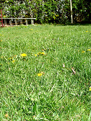 Image showing NJ lawn