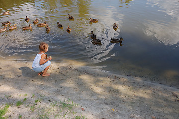 Image showing girl feeding ducks