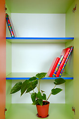 Image showing bookcase with books and a plant