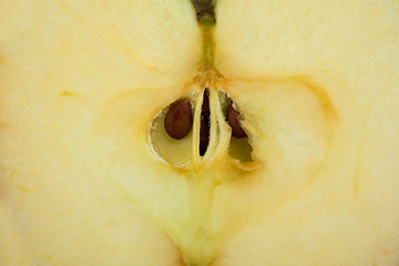 Image showing The cut sweet yellow apple