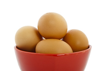 Image showing brown eggs