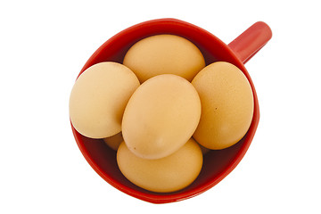 Image showing brown eggs