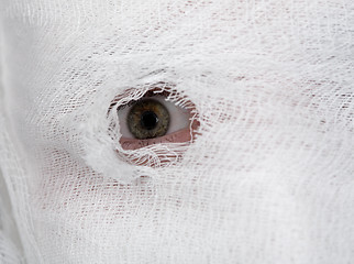 Image showing Eye