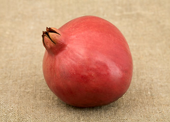 Image showing Pomegranate