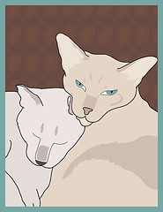 Image showing Siamese Cats