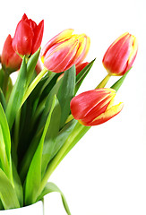 Image showing Tulips in vase