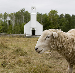 Image showing Sheep in front of a church