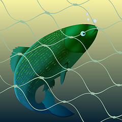 Image showing Fish