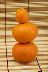 Image showing Two mandarin and kumquat