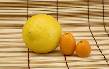 Image showing Lemon and kumquat