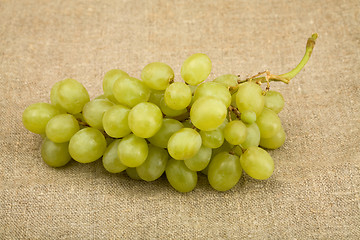 Image showing Grapes 