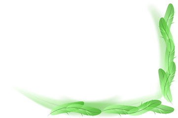 Image showing Abstract white -  green feathers background