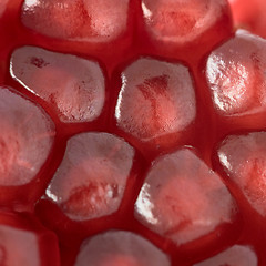 Image showing Red grains of pomegranate background