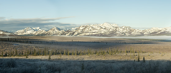Image showing Early spring panoramic landscape in Denali national park
