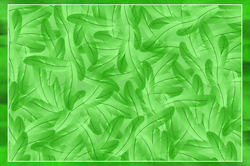 Image showing Abstract green feathers illustration background