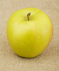 Image showing Yellow ripe apple