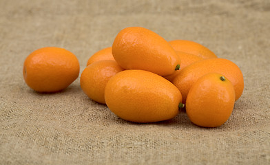 Image showing Fresh kumquat 