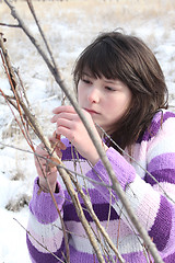 Image showing Snow field