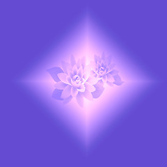 Image showing  abstract lotus background 